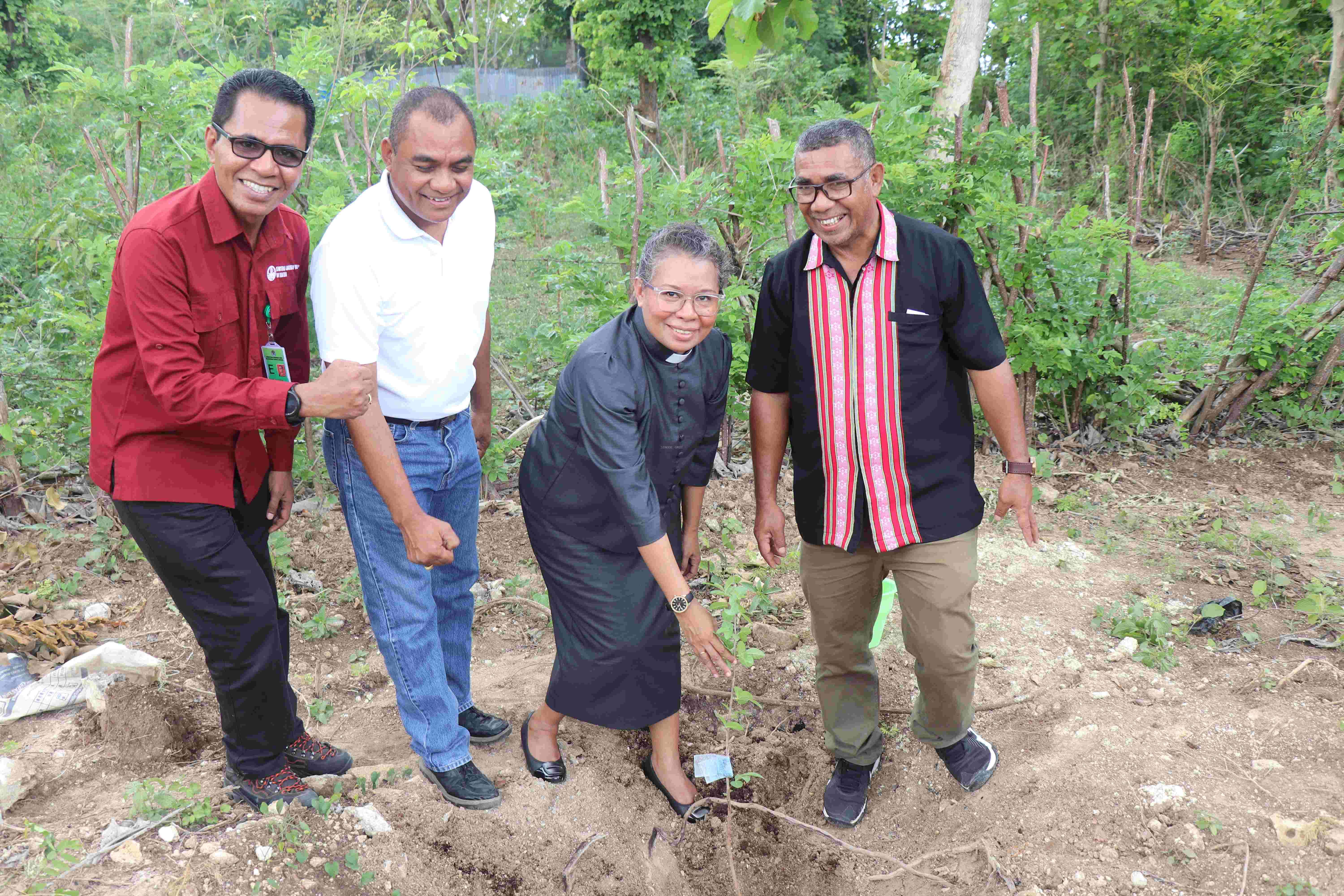 Majelis Sinode GMIT Tanam Anakan Buah di Kebun Petuk