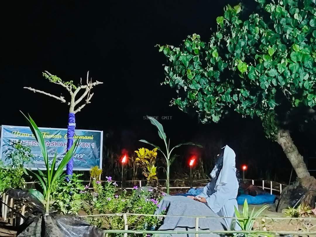 RAJA DAMAI YANG LEMAH LEMBUT (MATIUS 21:1-11)