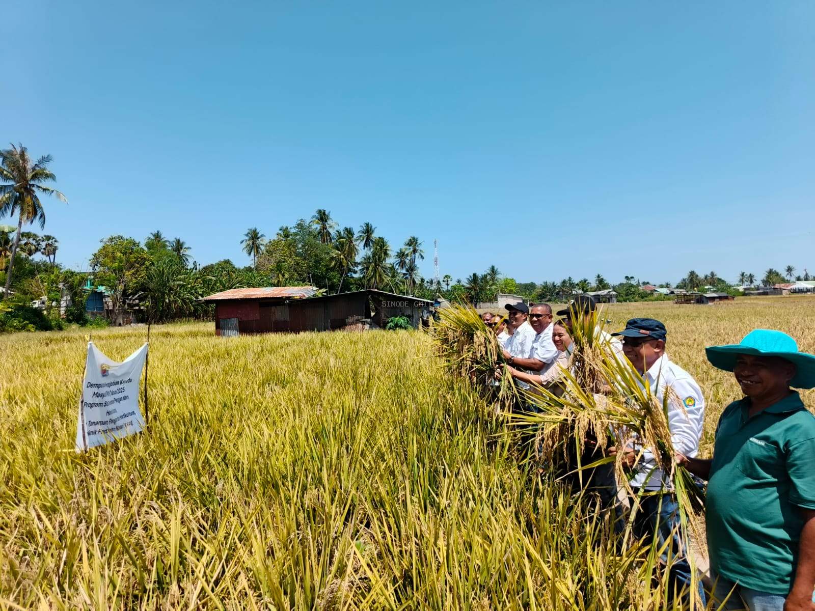 Sinergi Politani Kupang dan Sinode GMIT Kembangkan Model Agroeduwisata di Sawah Sulamanda