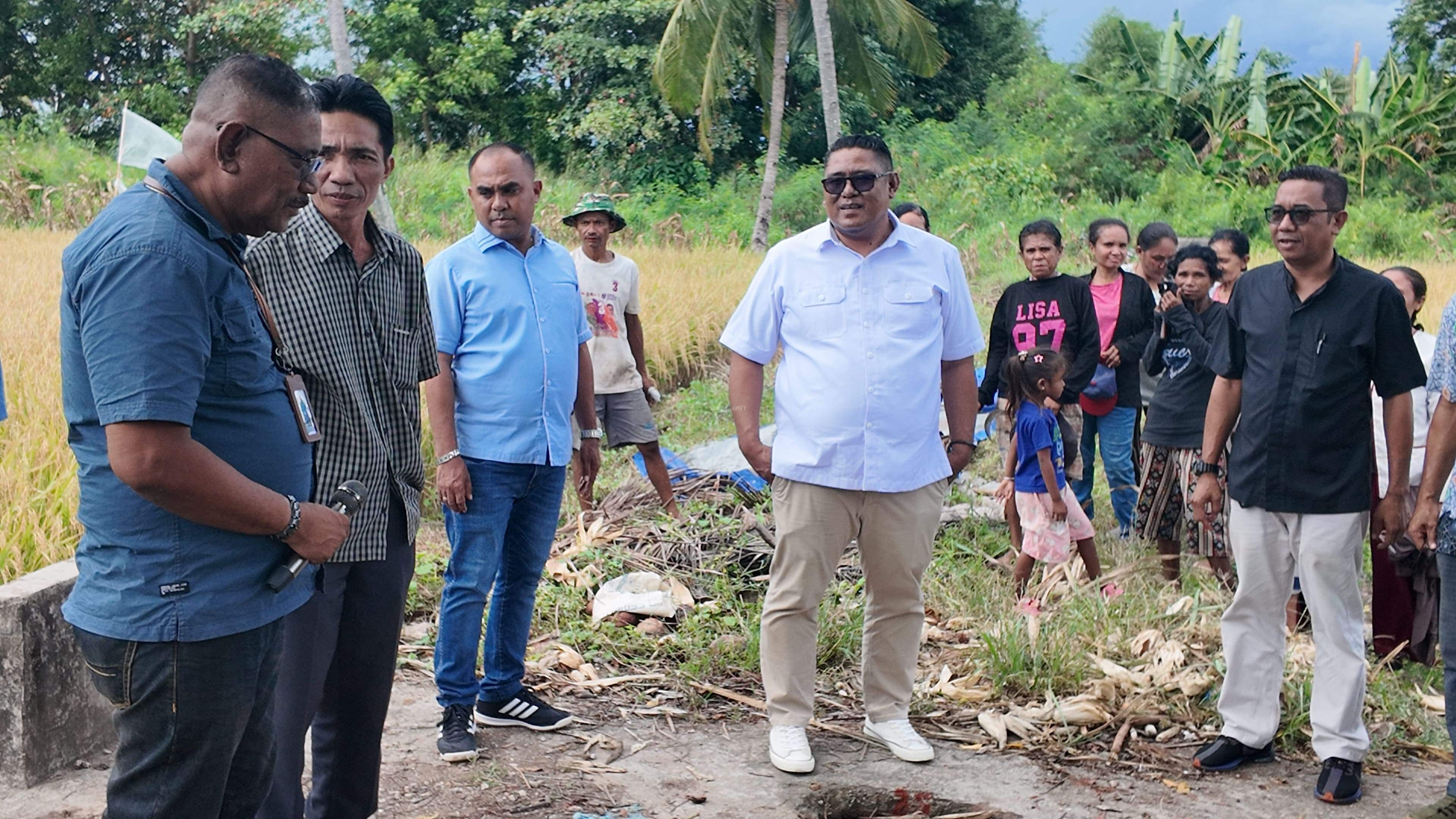 Gereja Tak Boleh Stagnan, YAO GMIT Luncurkan Beras Organik Premium di Kupang